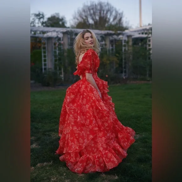 Selkie The Secret Admirer In Bloom Gown XS - Picture 3 of 13